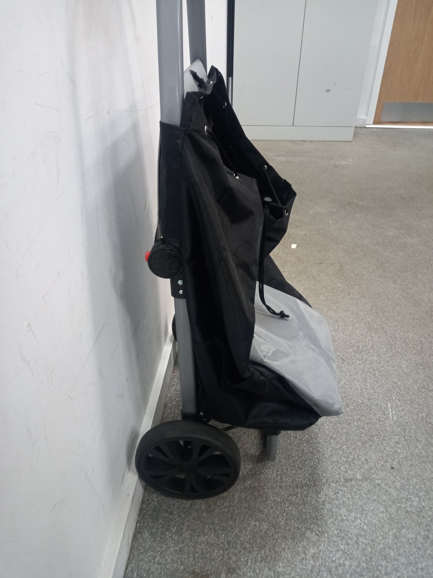 Shopping Trolley (061001)