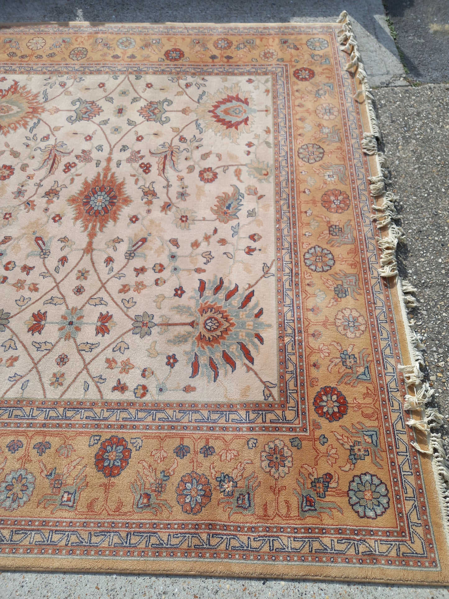 Large Room Rug (071010)