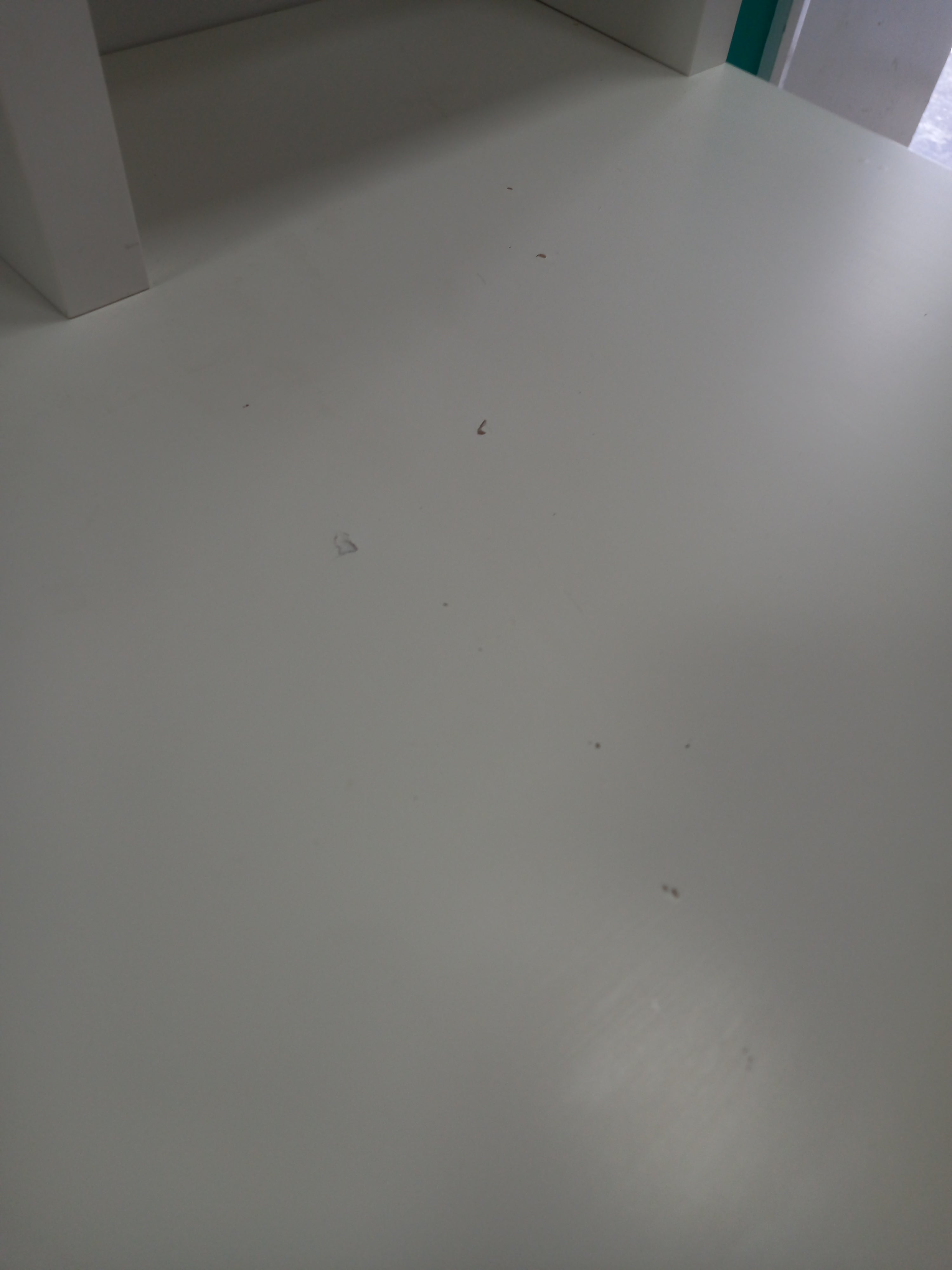 Desk 10082605