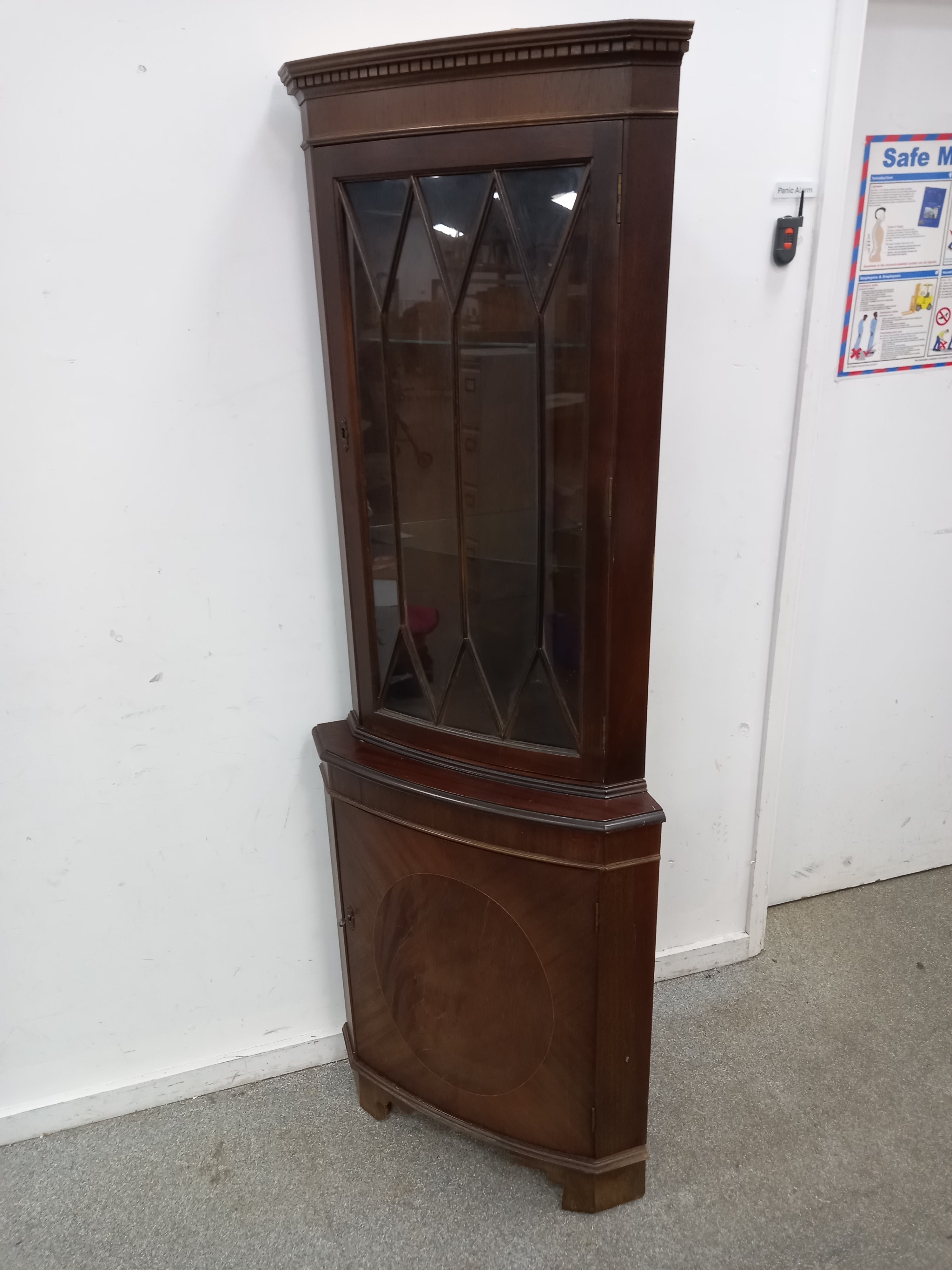 Corner Display Case (19022603)
