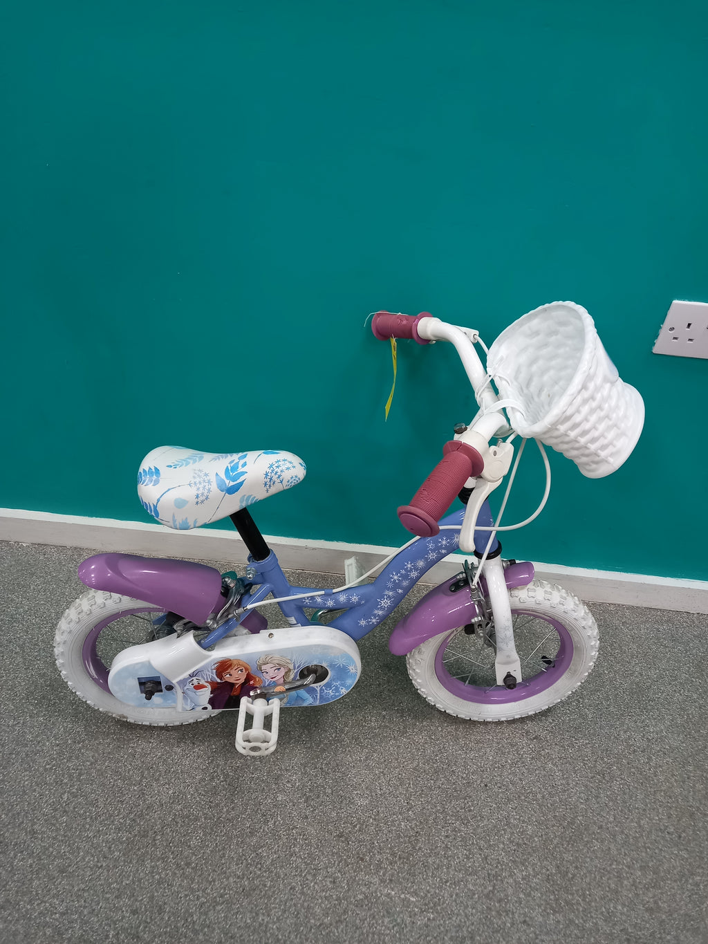 Frozen Bike (03082602)