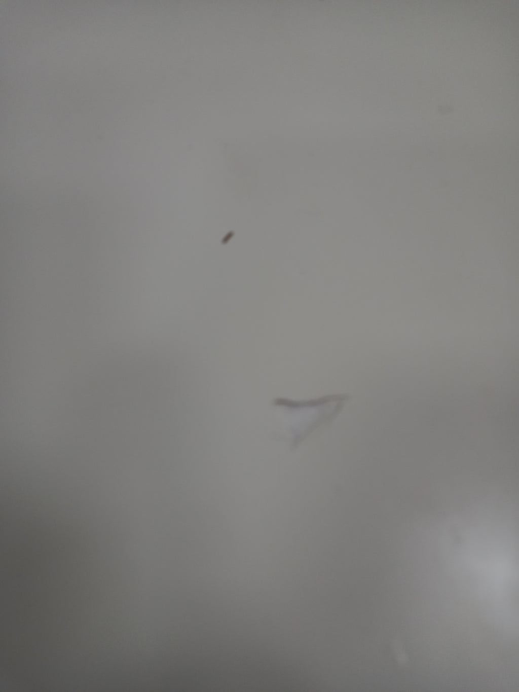 Desk 10082605