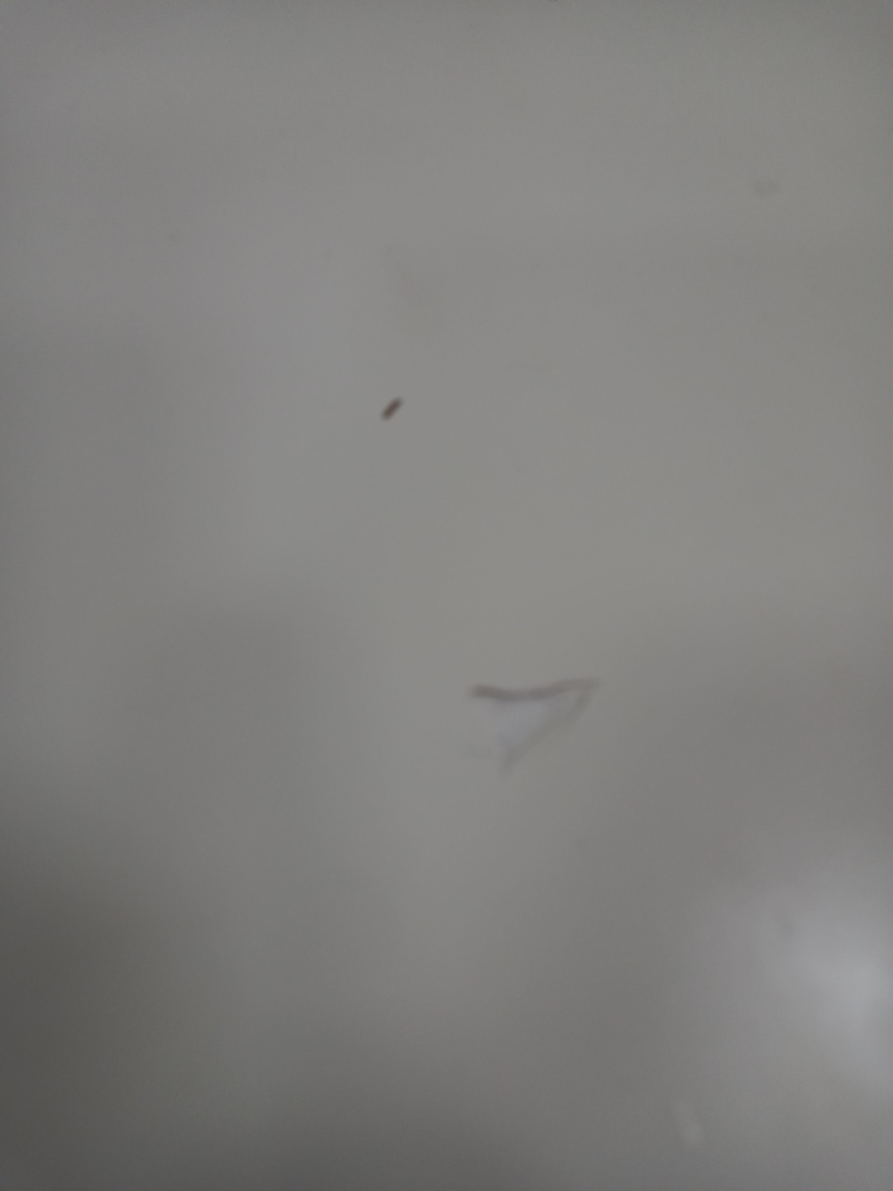 Desk 10082605