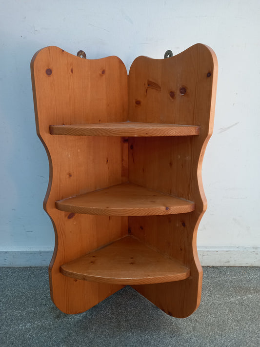 Wall mounted corner shelving unit (071014)