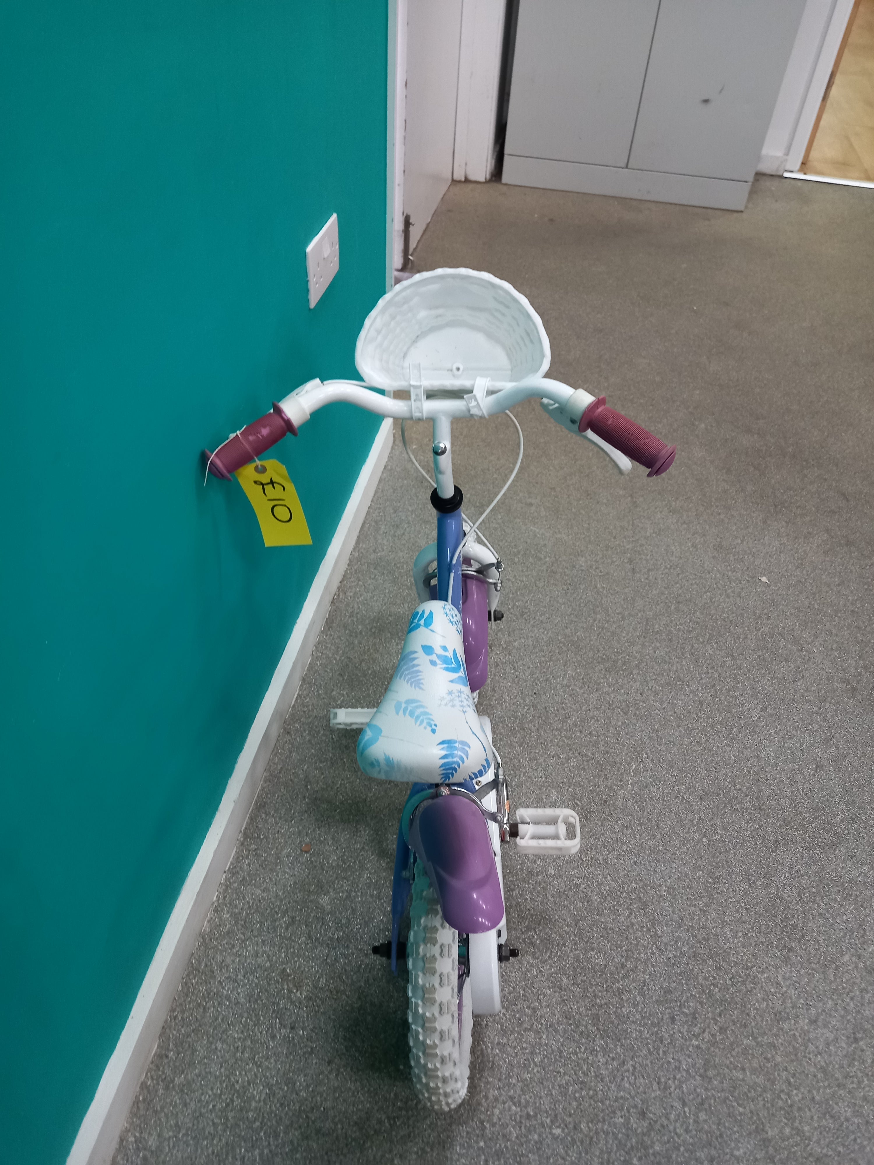 Frozen Bike (03082602)