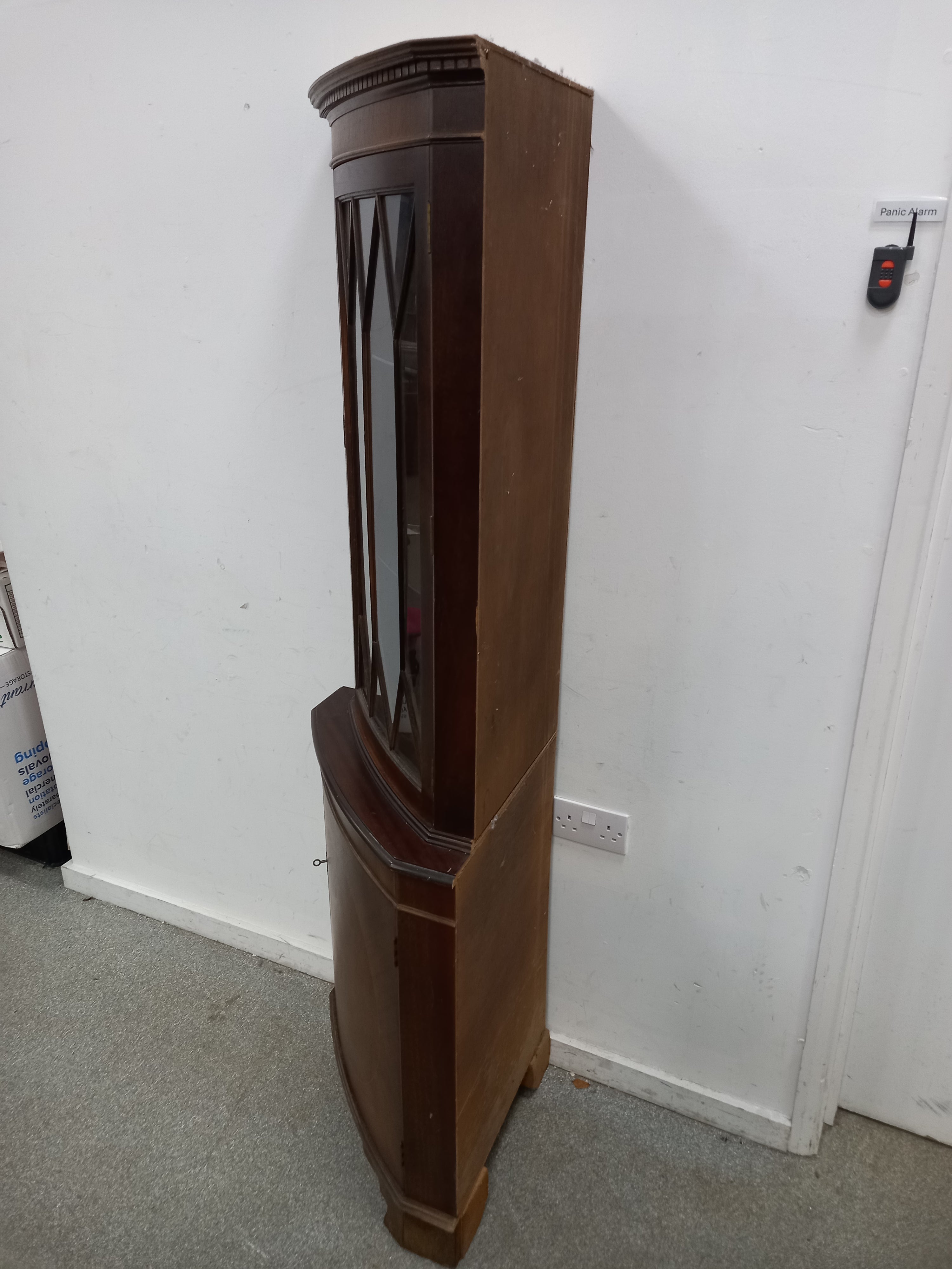 Corner Display Case (19022603)